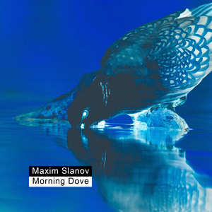 国产手机精品一区二区女性向
