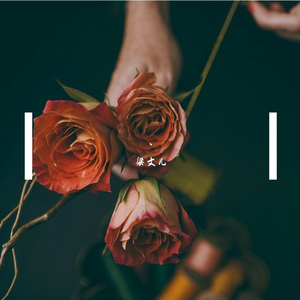 国产手机精品一区二区女性向
